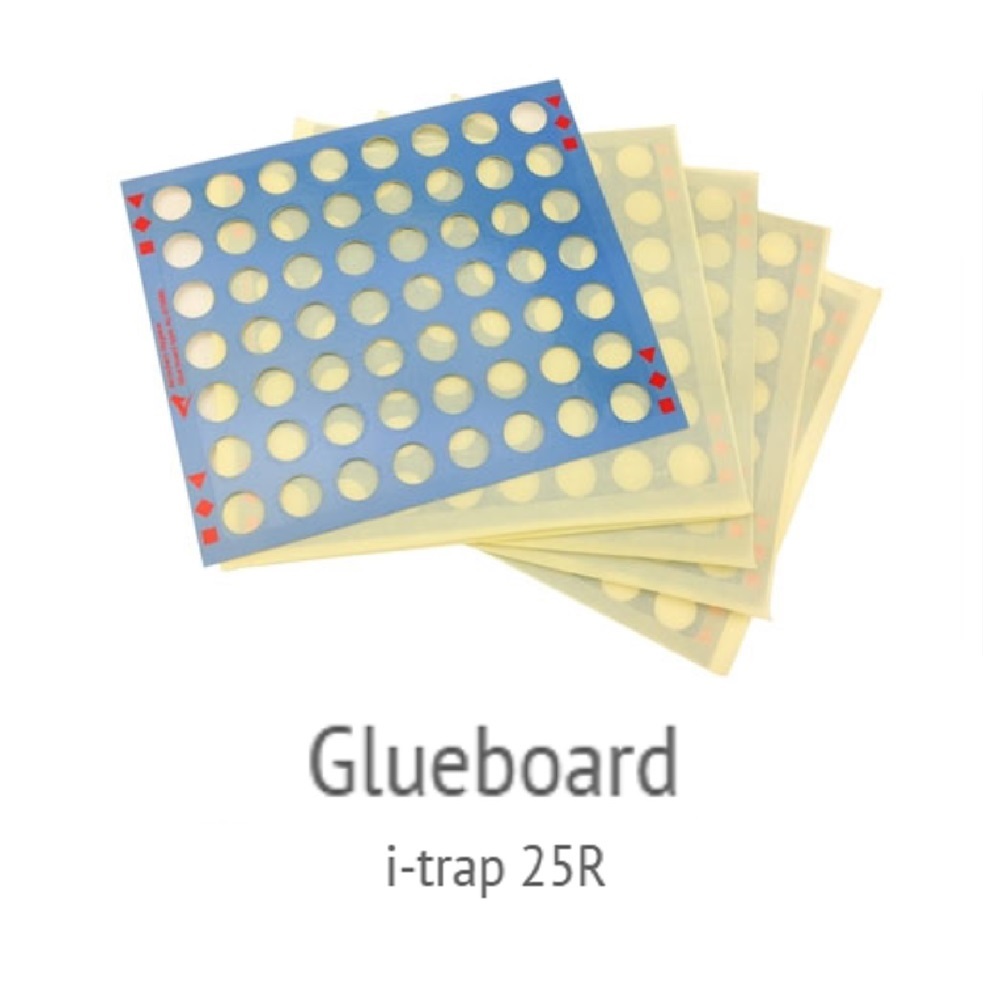 الشيت اللاصق Glueboards لمصيدةi trap25